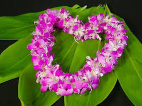 Picture showing our heart is warm by displaying a triple orchard lei shaped in a heart laid on a spread of 7 large Ti leaves. 